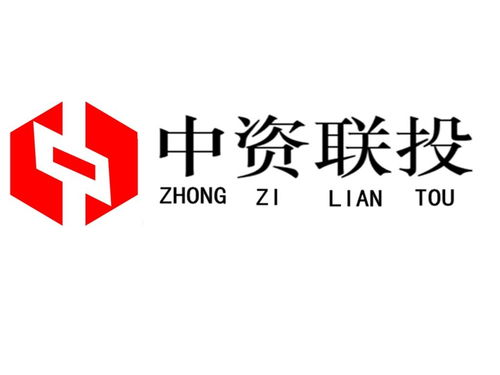 武汉市中资联投投资咨询 专业投资智慧引领区域发展新动能