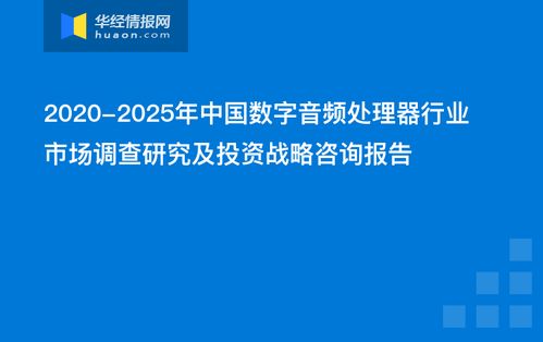 中国数字音频处理器行业市场调查研究及投资战略咨询报告
